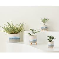 Ocean Ceramic Pot